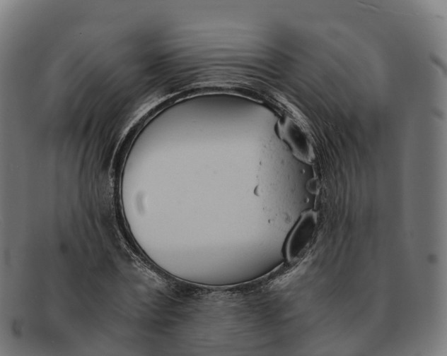 X0000091660779200709131509