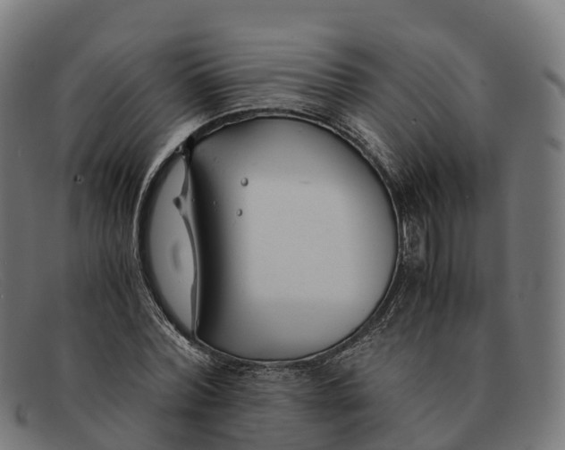 X0000091660780200709131509