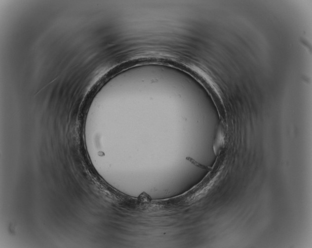 X0000091660783200709131509