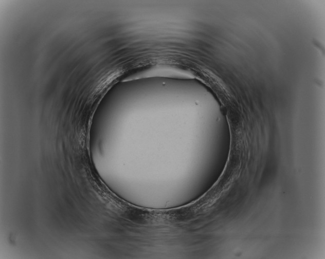 X0000091660785200709131509