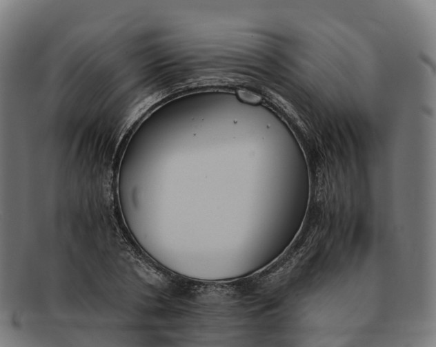 X0000091660786200709131509