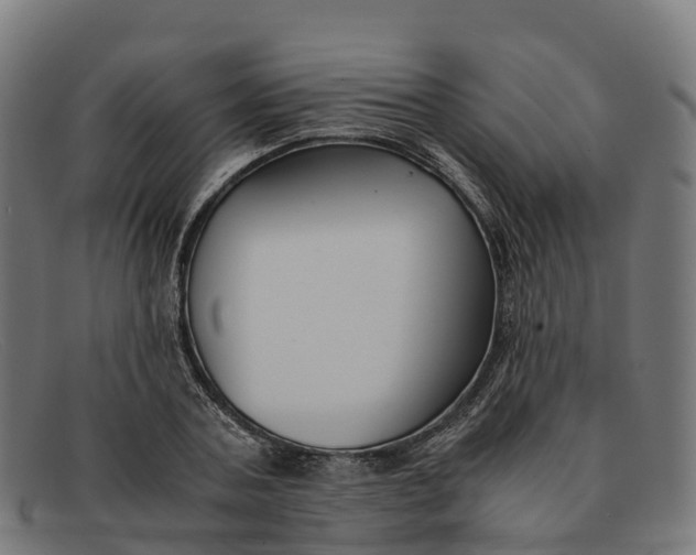 X0000091660787200709131509