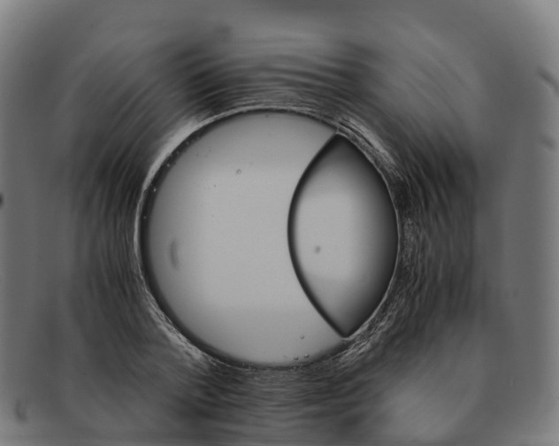 X0000091660788200709131509