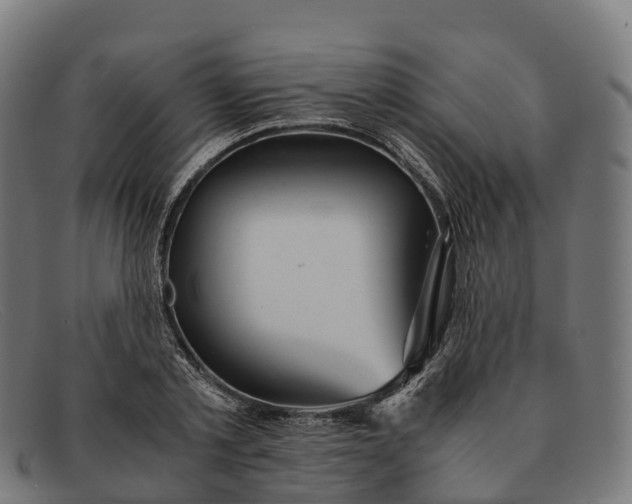 X0000091660789200709131509