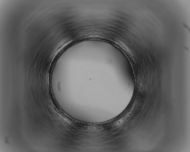 X0000091660790200709131509