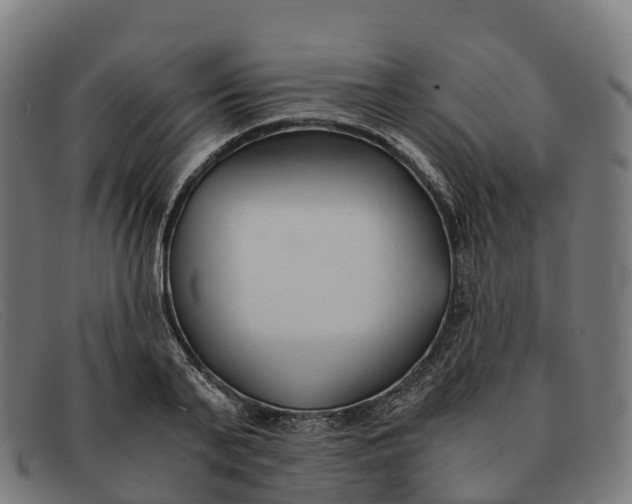 X0000091660791200709131509