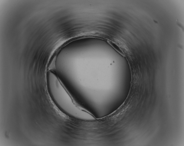 X0000091660792200709131509