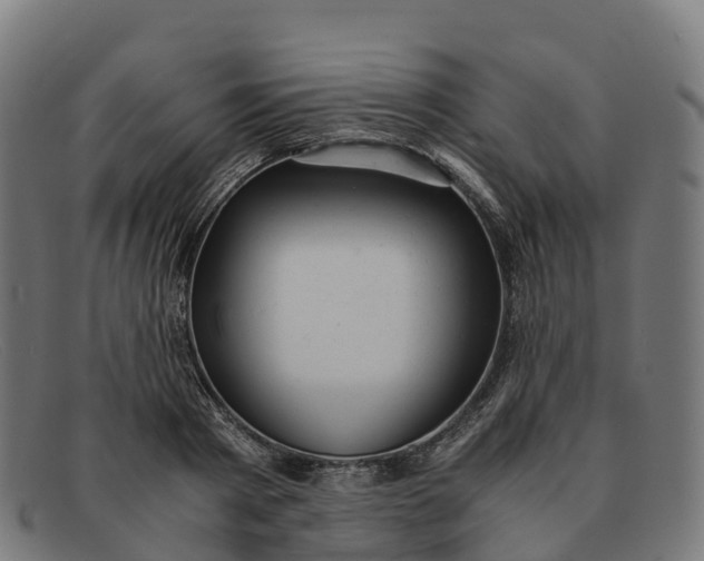 X0000091660793200709131509