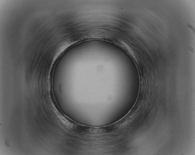 X0000091660795200709131509