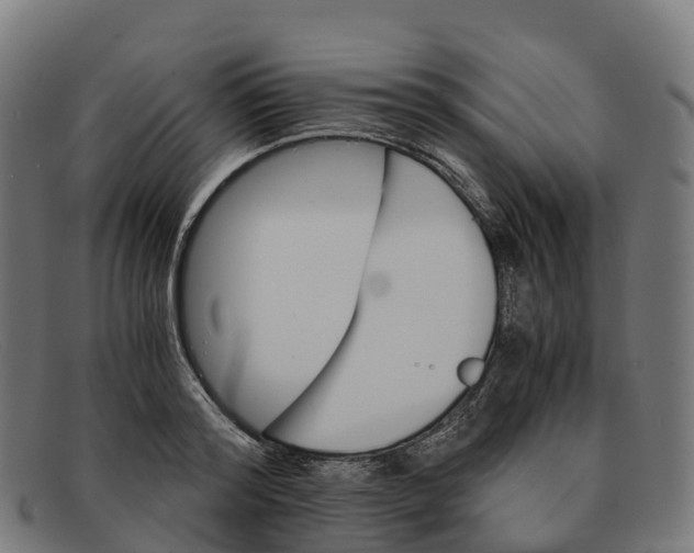 X0000091660796200709131509