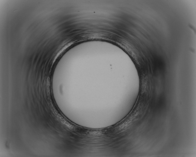 X0000091660798200709131509