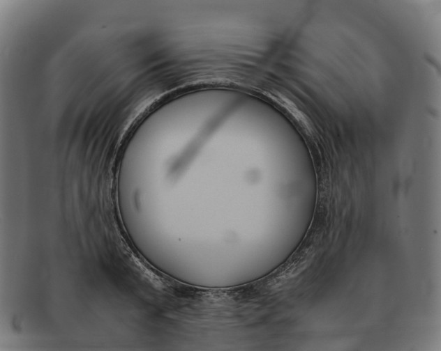 X0000091660799200709131509