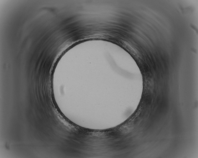 X0000091660800200709131509