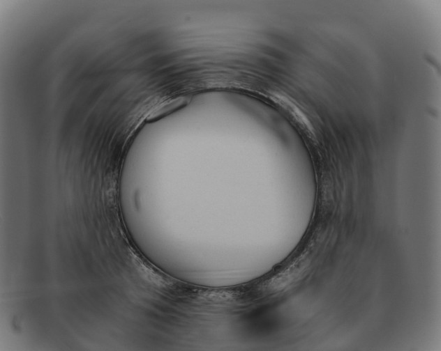 X0000091660801200709131509