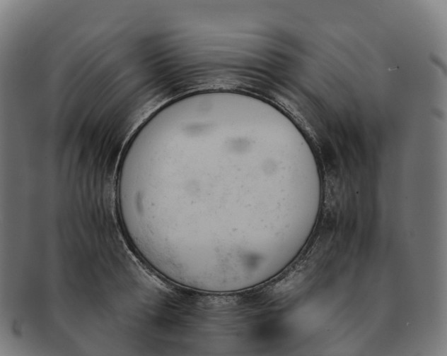 X0000091660802200709131509