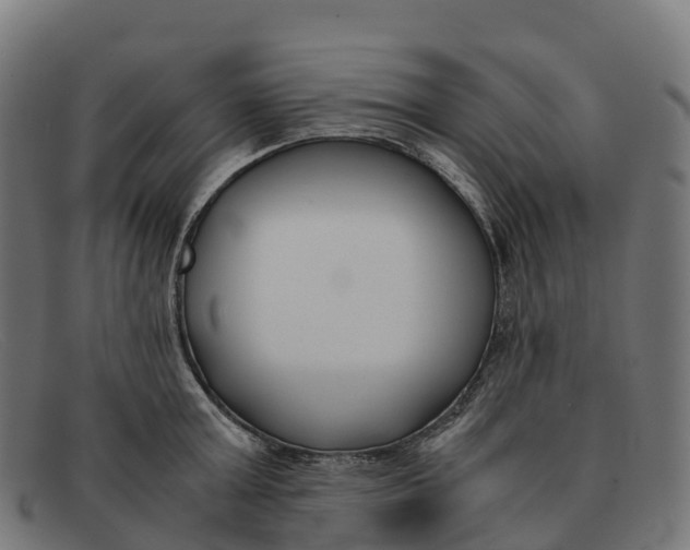 X0000091660803200709131509