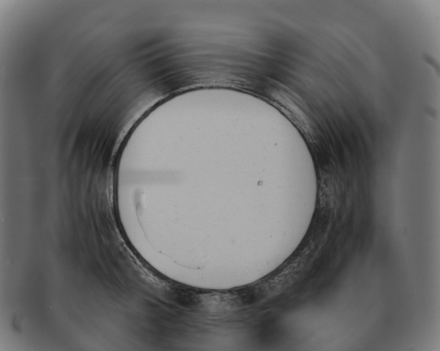 X0000091660804200709131509