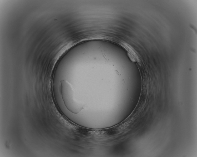 X0000091660805200709131509