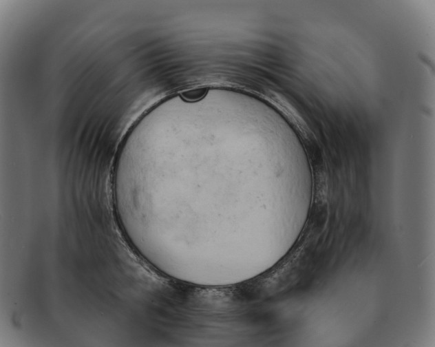 X0000091660806200709131509