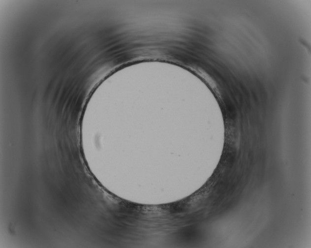 X0000091660807200709131509