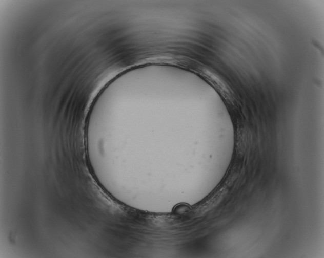 X0000091660808200709131509