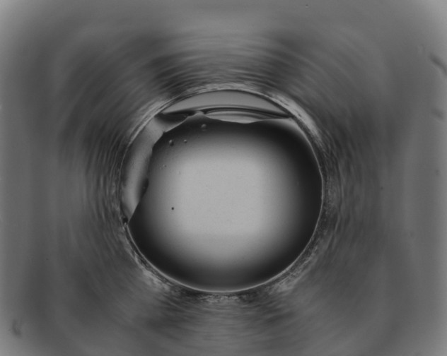 X0000091660809200709131509