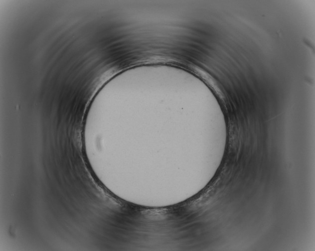 X0000091660810200709131509