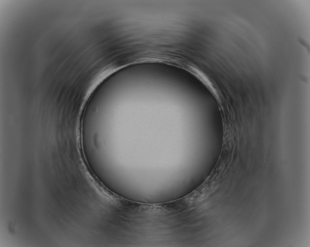 X0000091660811200709131509