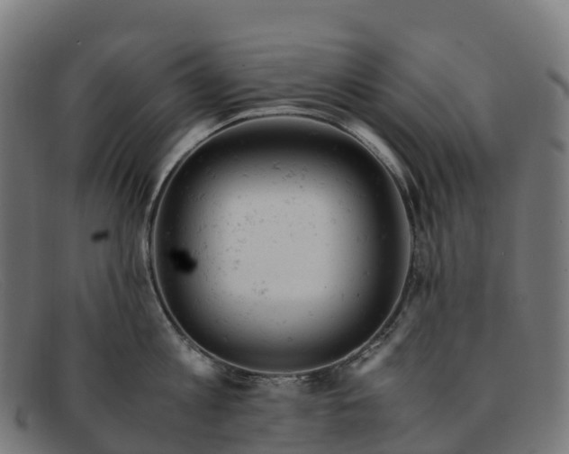 X0000091660813200709131509