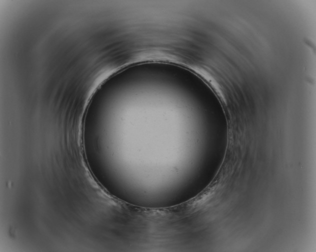 X0000091660815200709131509