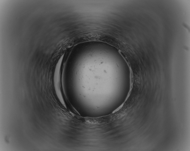 X0000091660818200709131508