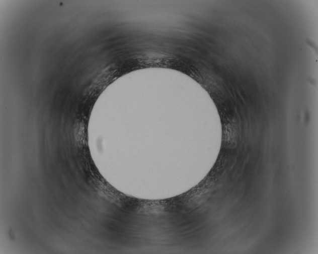 X0000091660820200709131508