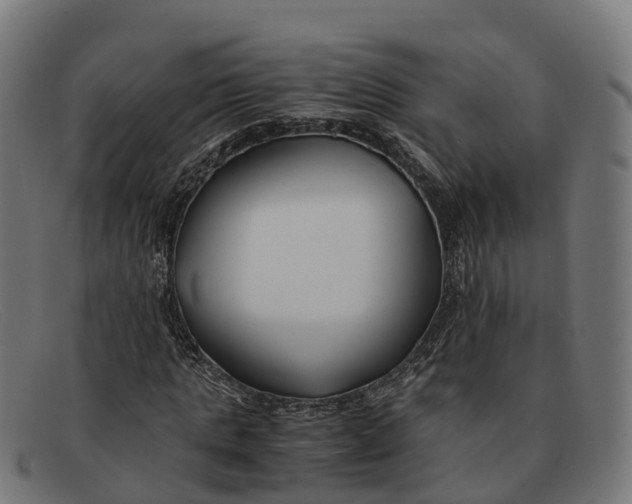 X0000091660821200709131508