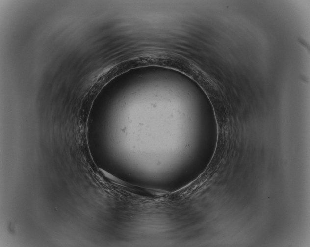 X0000091660822200709131508