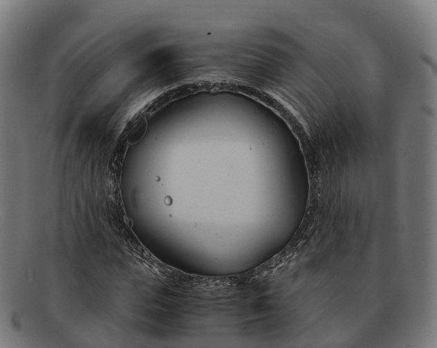 X0000091660823200709131508