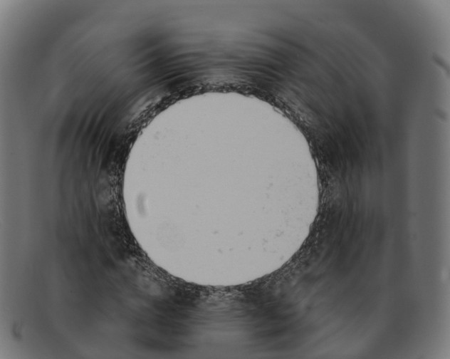 X0000091660824200709131508