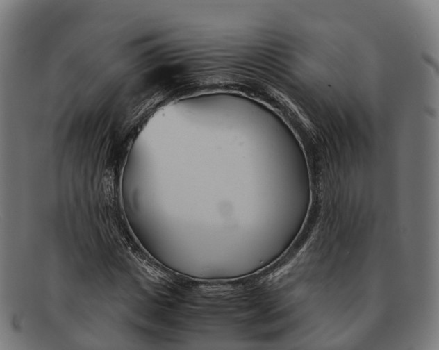 X0000091660825200709131508