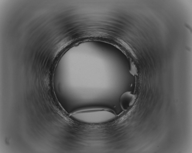 X0000091660826200709131508