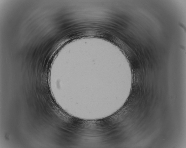 X0000091660828200709131508