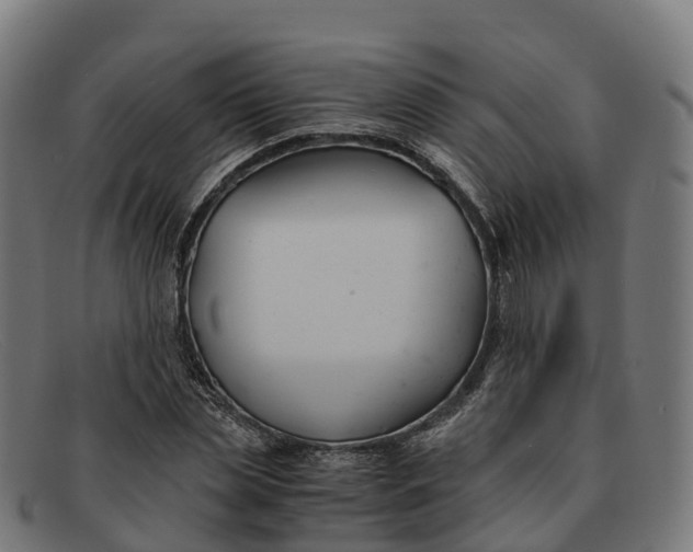 X0000091660829200709131508