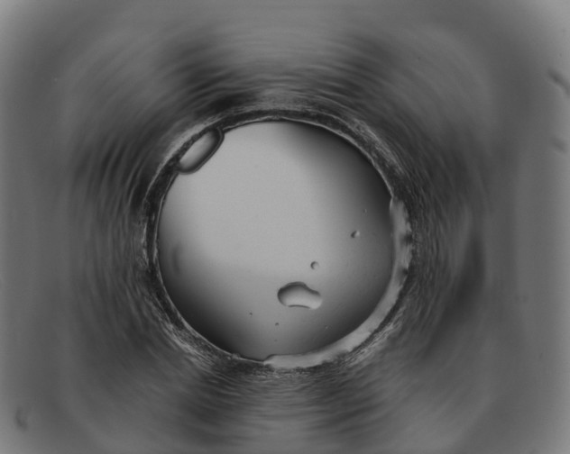 X0000091660830200709131508