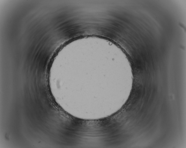 X0000091660832200709131508