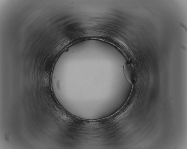 X0000091660833200709131508