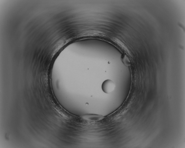 X0000091660834200709131508