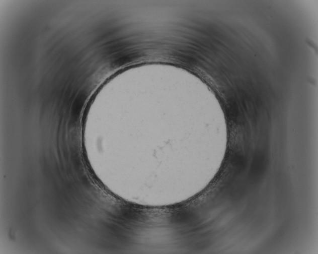 X0000091660836200709131508