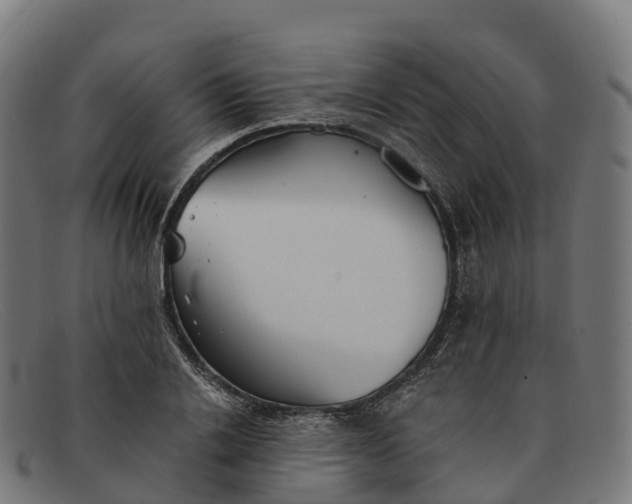 X0000091660838200709131508