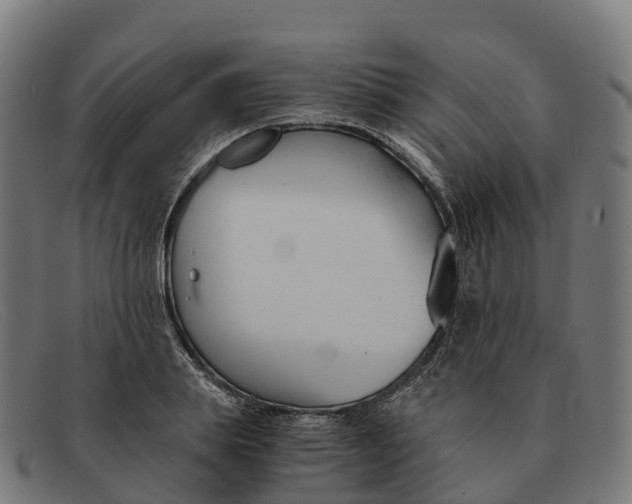 X0000091660839200709131508