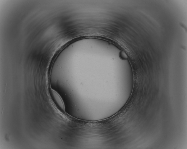 X0000091660840200709131508