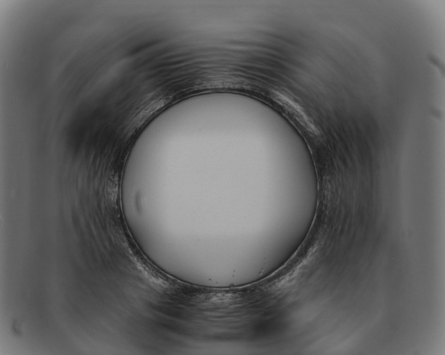 X0000091660841200709131508