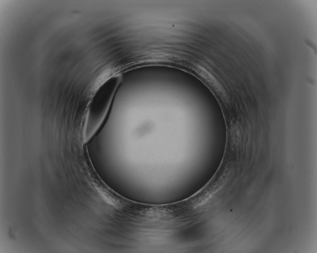 X0000091660842200709131508